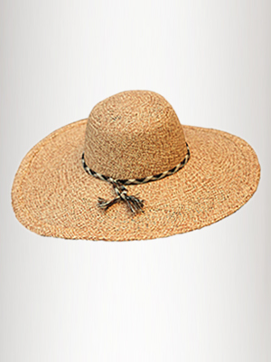 Beach Comber