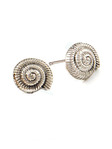Queen Shell Earrings